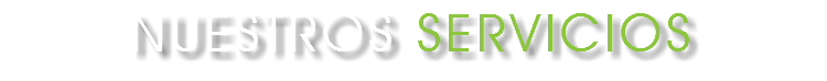 NUESTROS SERVICIOS